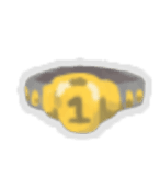 Champion Belt