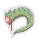 Lizard Tail