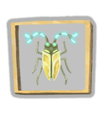 PreservedInsect